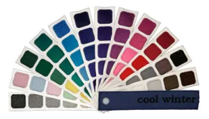Cool Winter Color Swatch Book