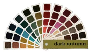 Dark Autumn Color Swatch Book