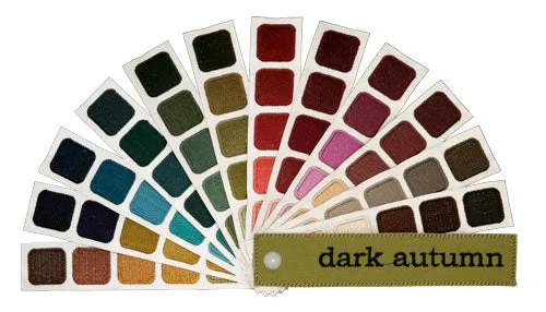 Dark Autumn Color Swatch Book
